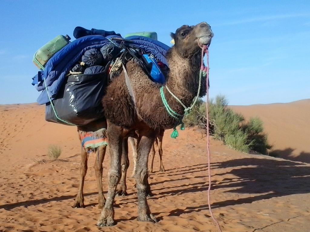 Bivouac Erg Znaigui Hotell Merzouga Eksteriør bilde